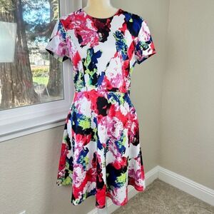 Milly Design Nation Dress Womens 12 Kinlte Rosabelles Watercolor Artsy Fit Flare